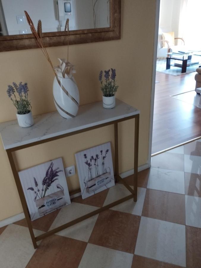 Alameda Residence تومار المظهر الخارجي الصورة